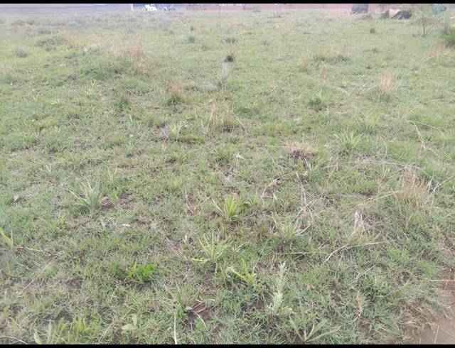 LAND FOR SALE IN AUSTIN VIEW
